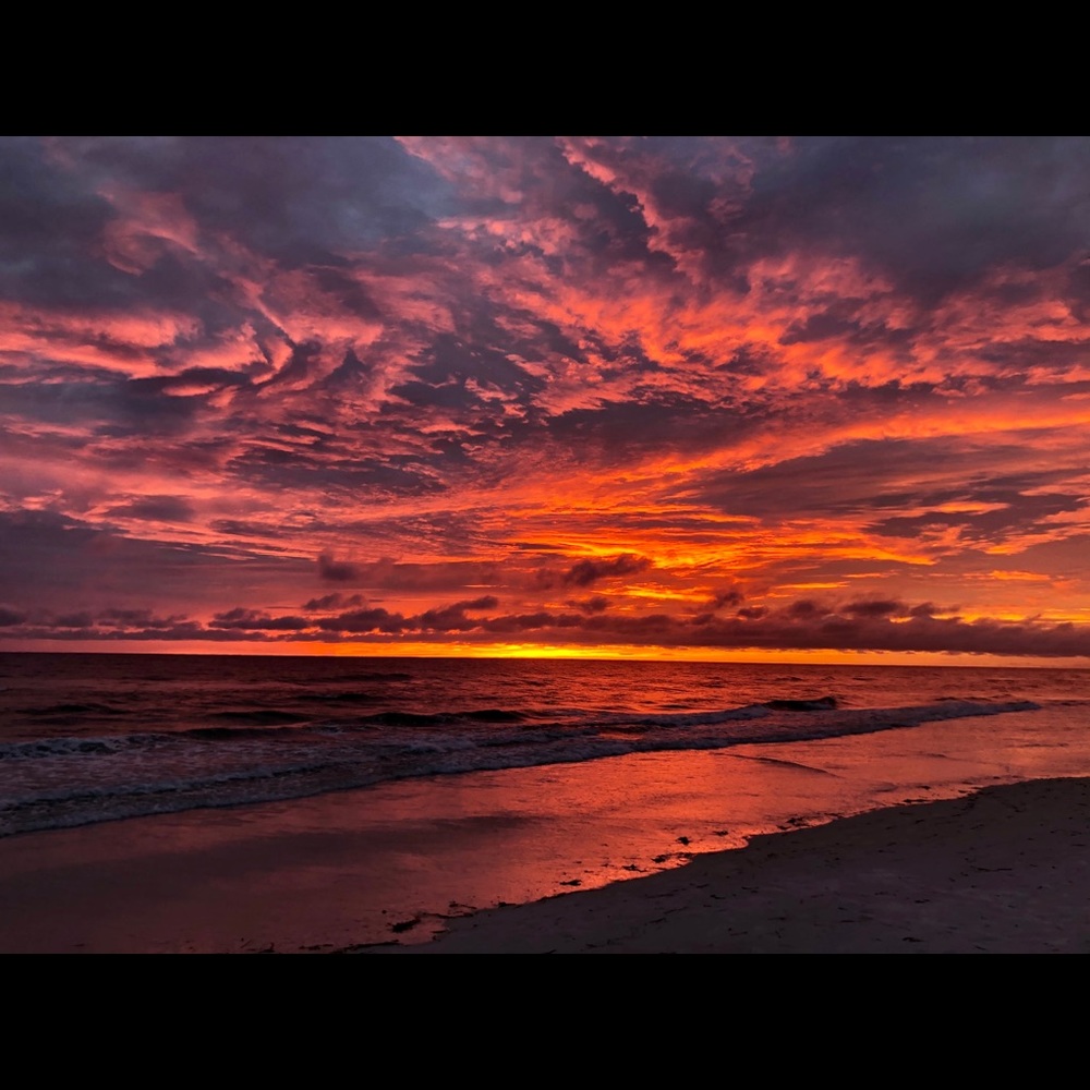 Meet your Posher, Isabella